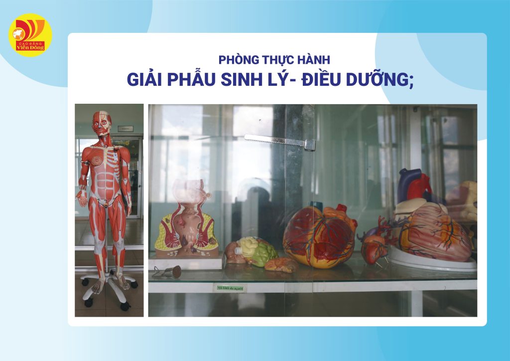 Hình ảnh trang thiết bị, phòng thực hành tại CĐ Viễn Đông