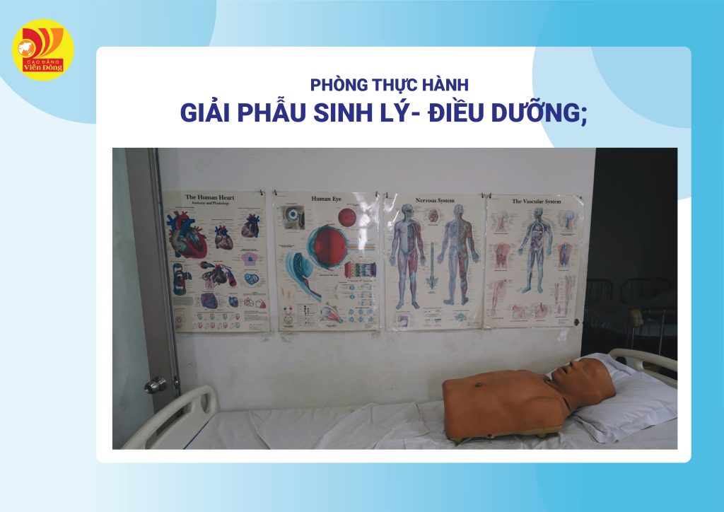 Hình ảnh trang thiết bị, phòng thực hành tại CĐ Viễn Đông